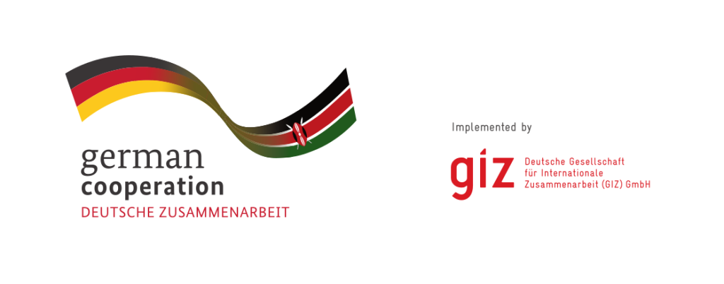 GIZ German Cooperation